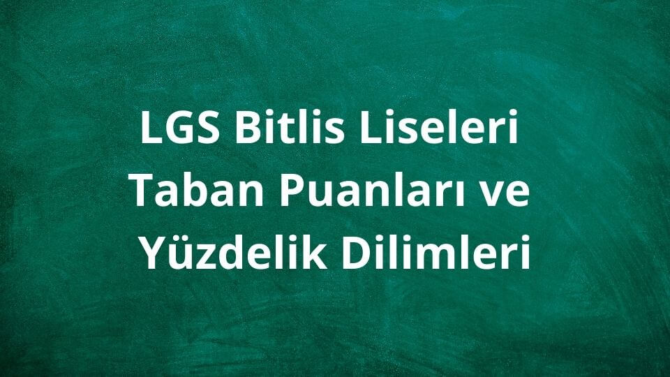 Bitlis Liseleri 2024 Taban Puanları ve Yüzdelik Dilimleri LGS - MEB