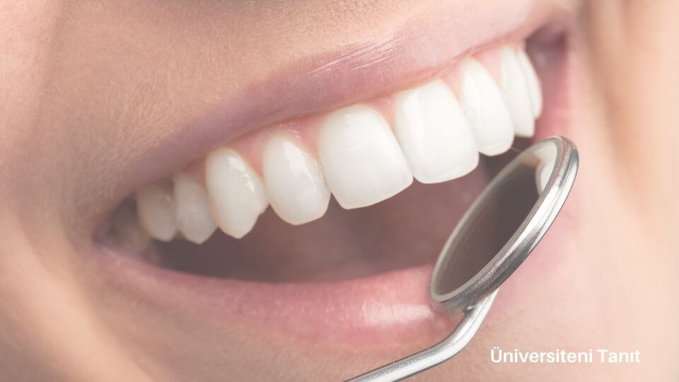 Diş Hekimliği Fakültesi Bölümü Nedir? İş Olanakları Nelerdir?