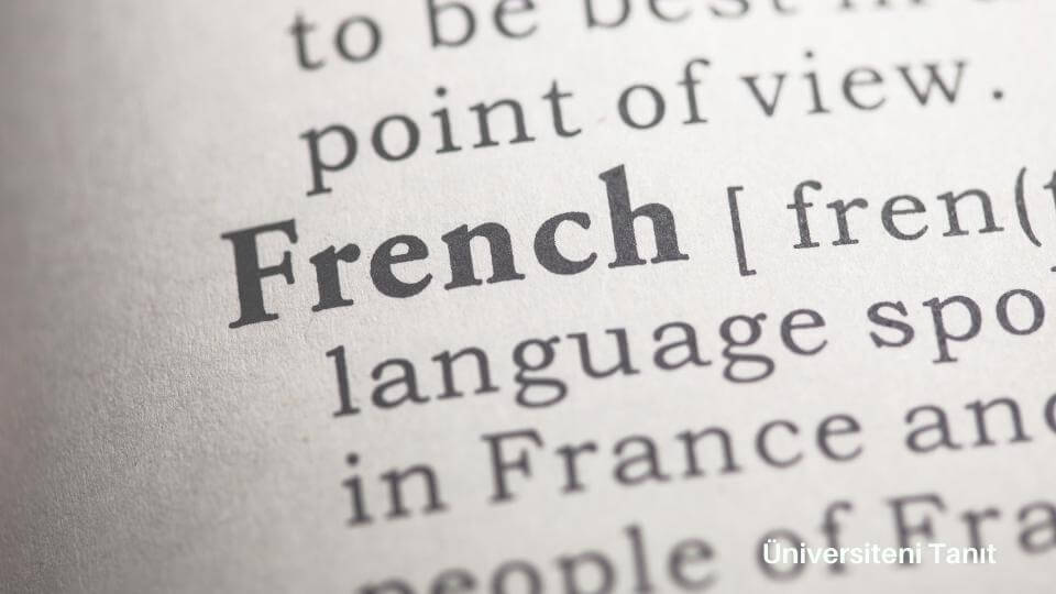 Fransızca Mütercim Ve Tercümanlık Bölümü Nedir? İş Olanakları Nelerdir?