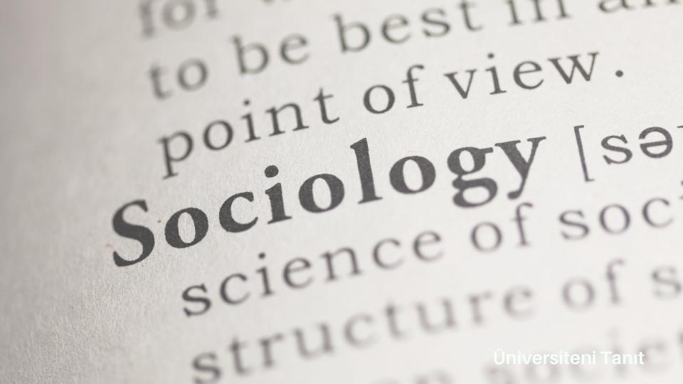 Sosyoloji Bölümü Nedir? Sosyoloji İş Olanakları Nelerdir?
