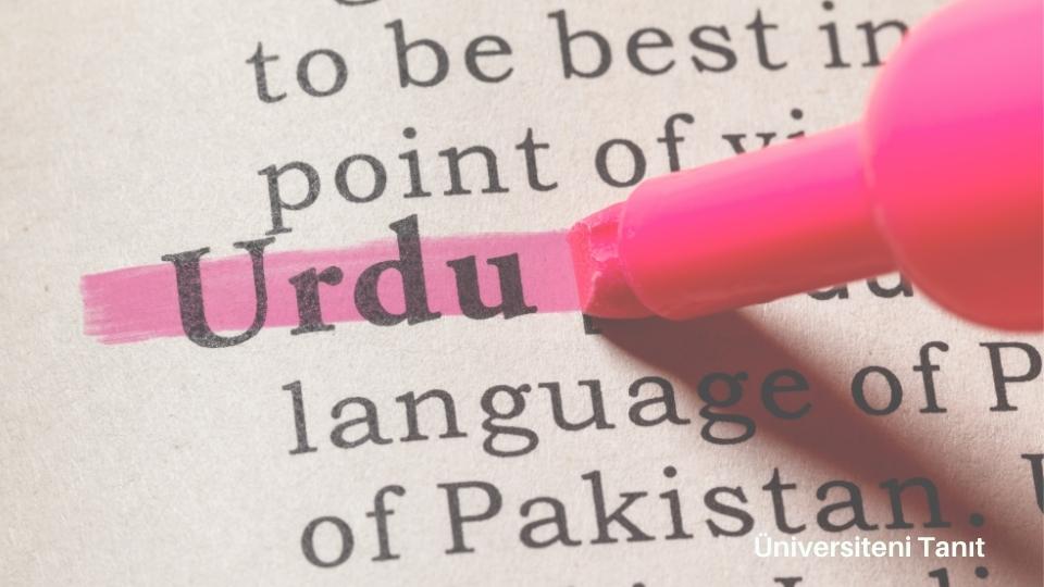 Urdu Dili Ve Edebiyatı Bölümü Nedir? İş Olanakları Nelerdir?