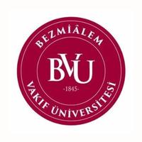 Bezm-İ Âlem Vakıf Üniversitesi Logo