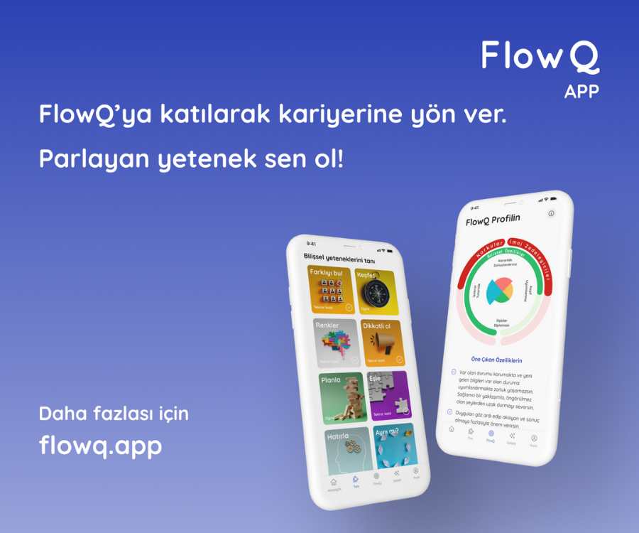Flowq - Genel Yetenek Testi