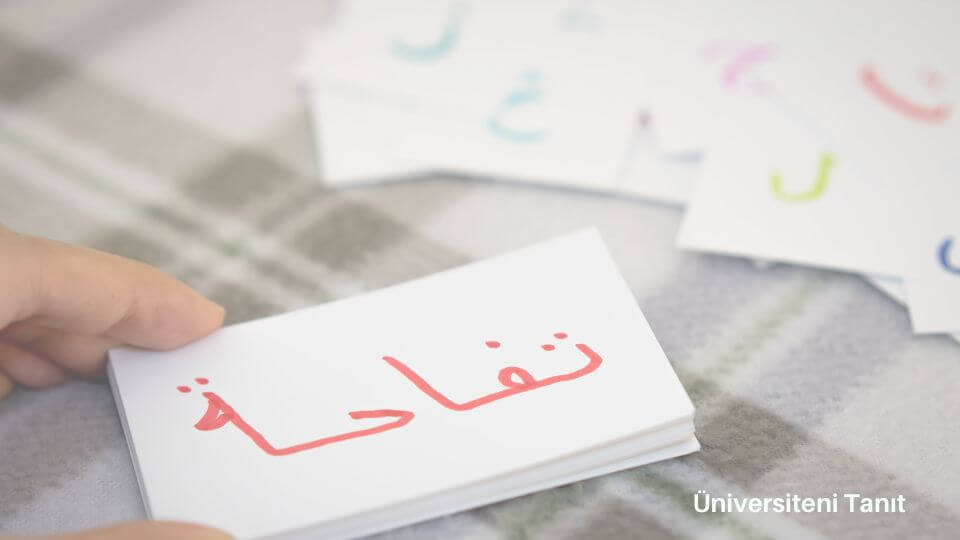 Arap Dili Ve Edebiyatı Bölümü Nedir? İş Olanakları Nelerdir?