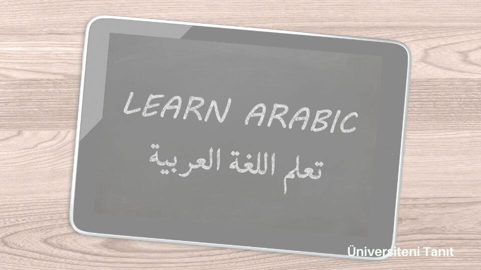 Arapça Mütercim Ve Tercümanlık Bölümü Nedir? İş Olanakları Nelerdir?