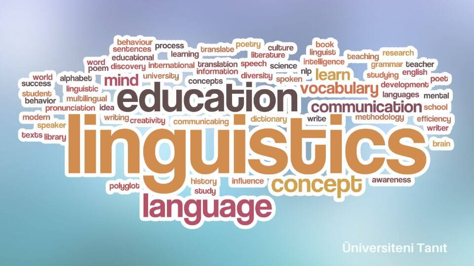 Dilbilimi Bölümü Nedir? Dilbilimi İş Olanakları Nelerdir?