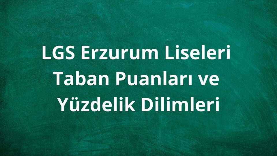 Erzurum Liseleri 2024 Taban Puanları ve Yüzdelik Dilimleri LGS - MEB