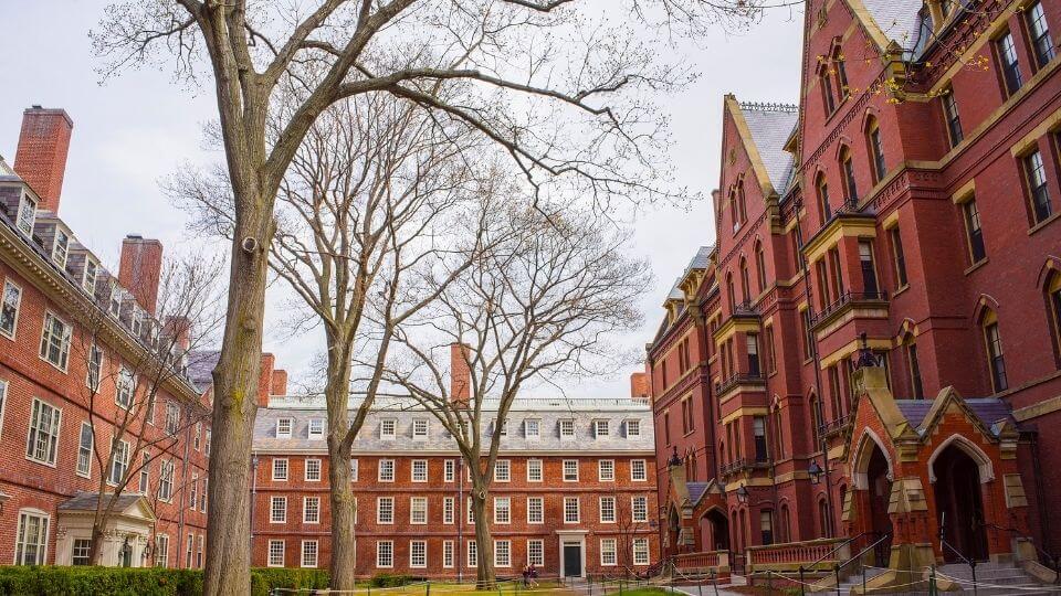 Harvard'da Öğrenci Olmak? Harvard Üniversitesi Nasıl Kazanılır?
